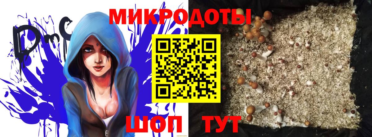 Псилоцибиновые грибы GOLDEN TEACHER  Вход с VPN  Гуково 